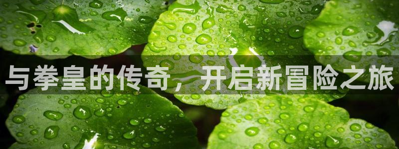 51动漫漫画网站