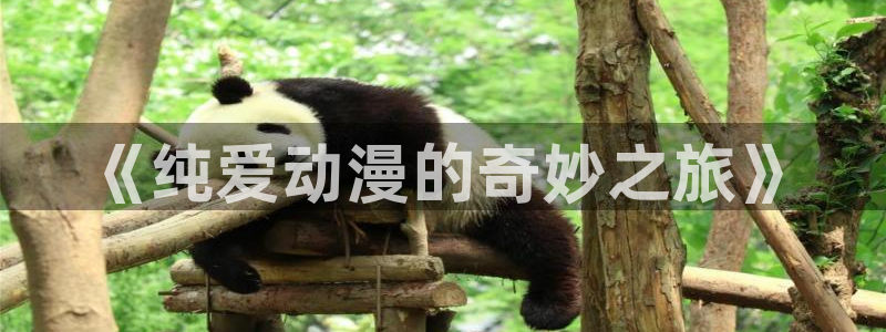 51动漫官网免费版观看：《纯爱动漫的奇妙之旅》