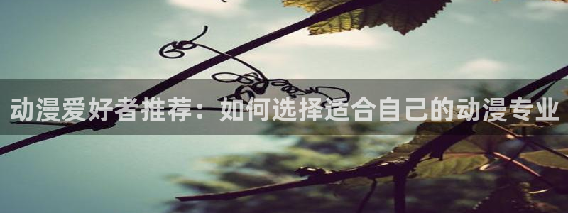 51动漫官方：动漫爱好者推荐：如何选择适合自己的动漫专业