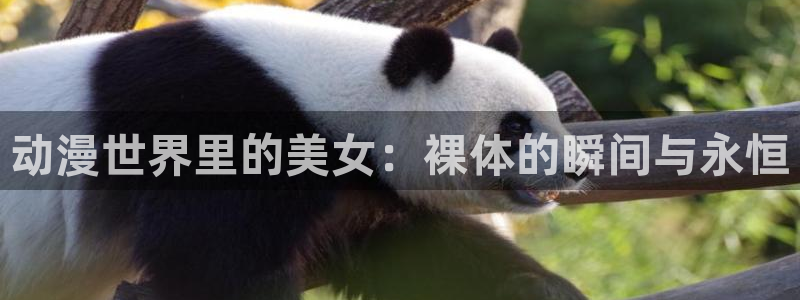 51动漫短视频：动漫世界里的美女：裸体的瞬间与永恒